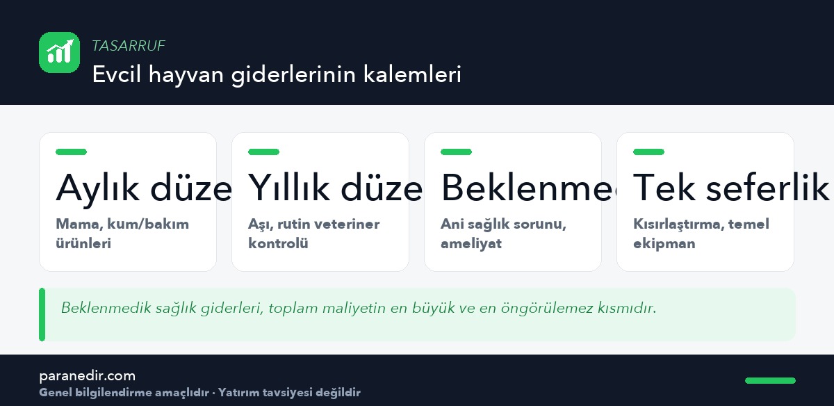 Evcil hayvan sahiplenmenin dört maliyet kalemi
